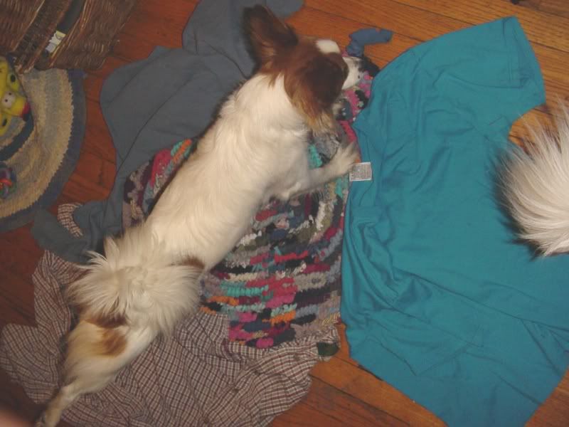 Hilde inspecting the new rug mat'l for the 50s rug