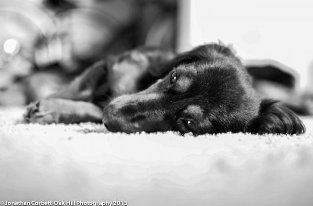 IMAGE: http://i174.photobucket.com/albums/w100/Shanksmyster/DSC_0114-3.jpg