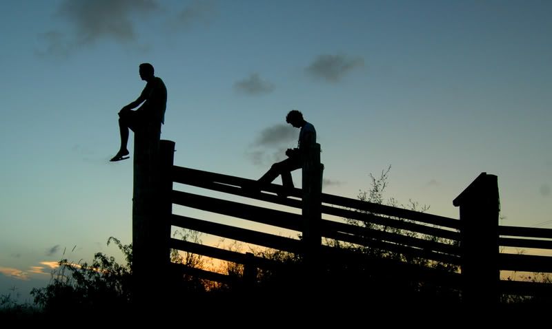 fencesilhouette.jpg