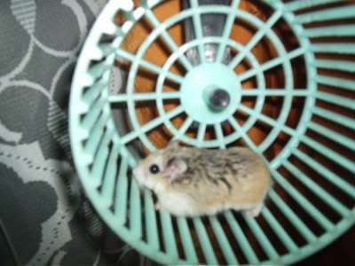 shorty.jpg image by sqyakaseedya shorty.jpg image by sqyakaseedya