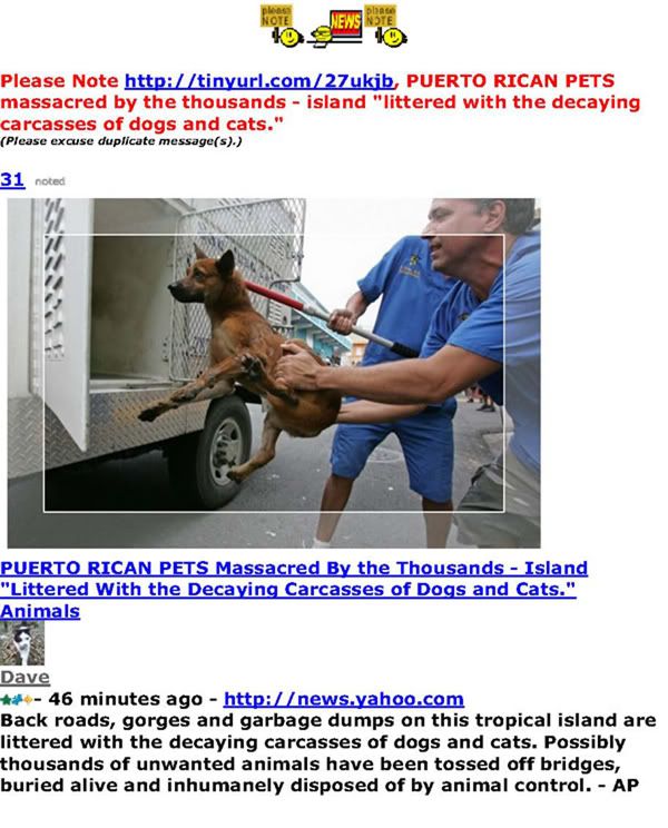PUERTO RICAN PETS massacred by the thousands - island littered with the decaying carcasses of dogs and cats.