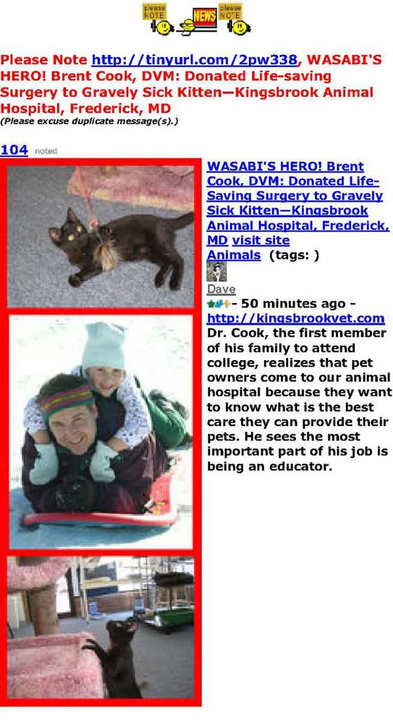 WASABI'S HERO! Brent Cook, DVM: Donated Life-saving Surgery to Gravely Sick Kitten—Kingsbrook Animal Hospital, Frederick, MD