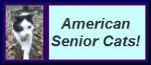 Visit American Senior Cats home page!