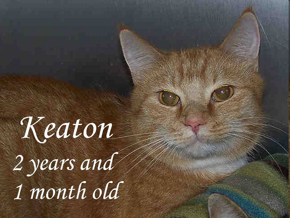 Keaton has left the shelter.