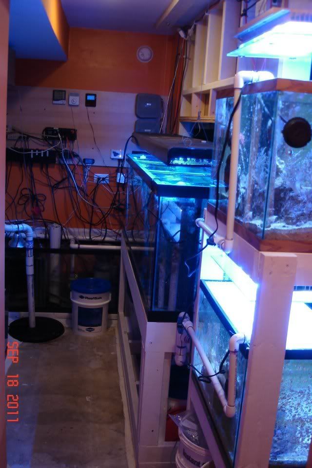 Fishroom.jpg