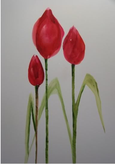 tulip buds