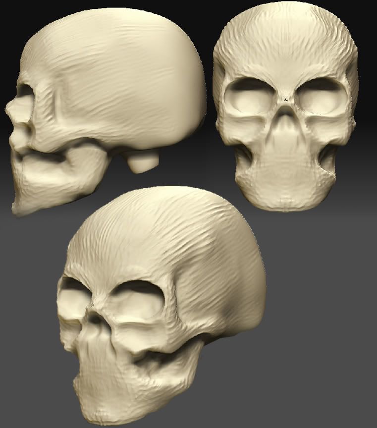 skulls01.jpg