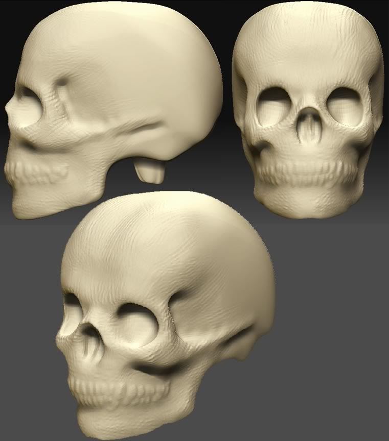 skulls02.jpg