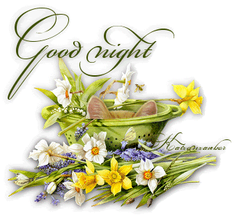 Goodnight-4.gif