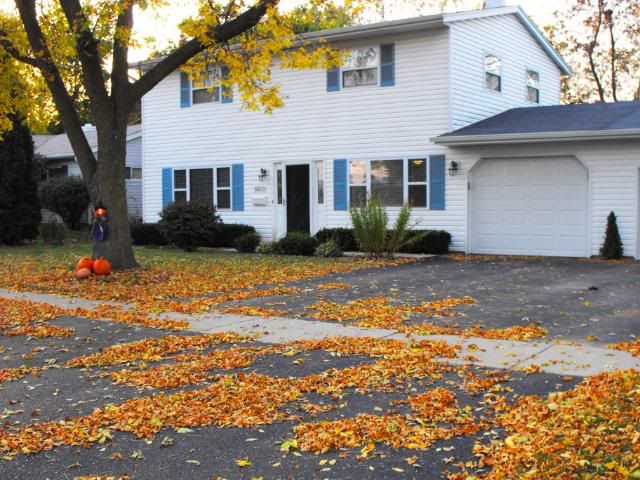 house fall 2010