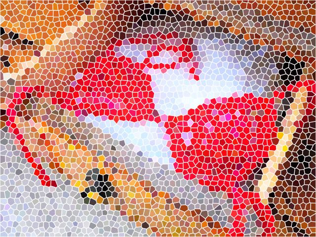 spiderweb bra mosaic
