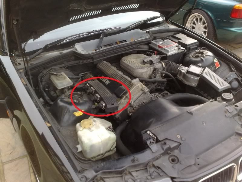 1993 E36 318iS Does this engine look normal to you?