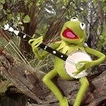 kermit_zpsuj6cgy3i.jpg