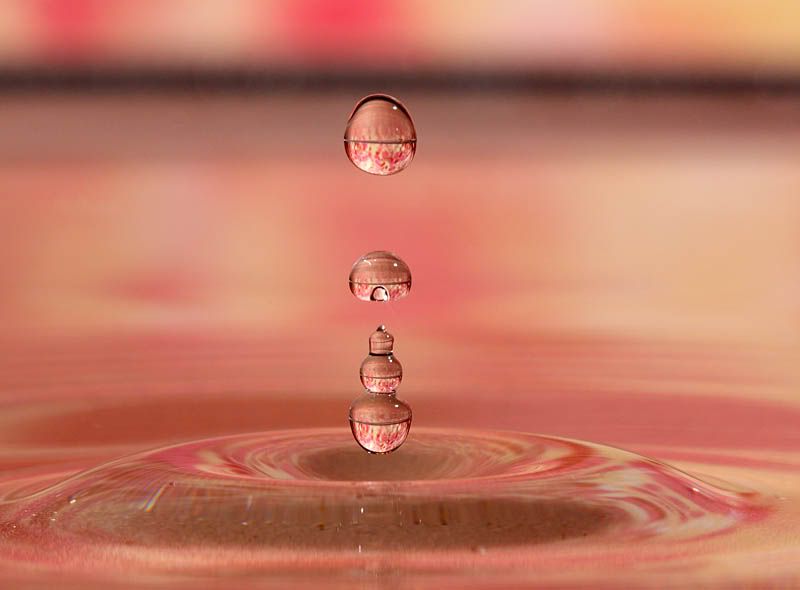 IMAGE: http://i174.photobucket.com/albums/w110/jnbradley3/Misc/drops5425-1.jpg