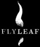 fly leaf Pictures, Images and Photos