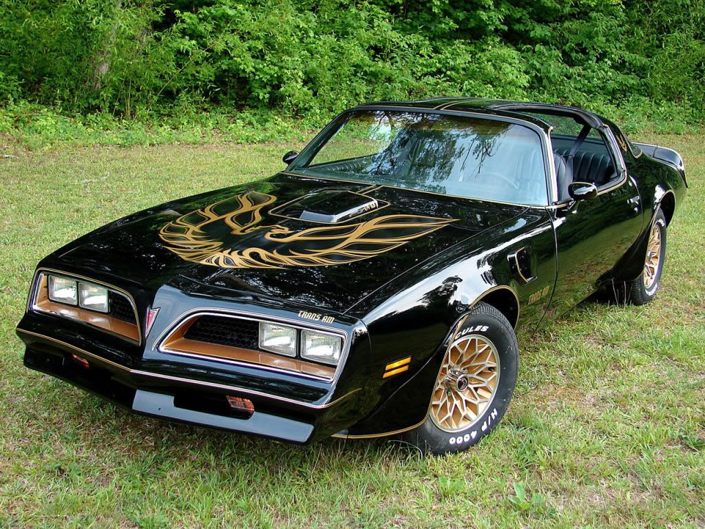 pontiac_firebird-trans-am-1977-79_r10.jpg