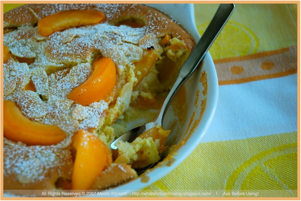 Apricot Clafoutis (04) by Meeta Albrecht Apricot Clafoutis (04)