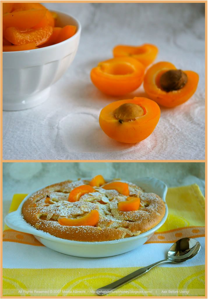 Apricot Clafoutis (06) Meeta Albrecht Apricot Clafoutis (06)