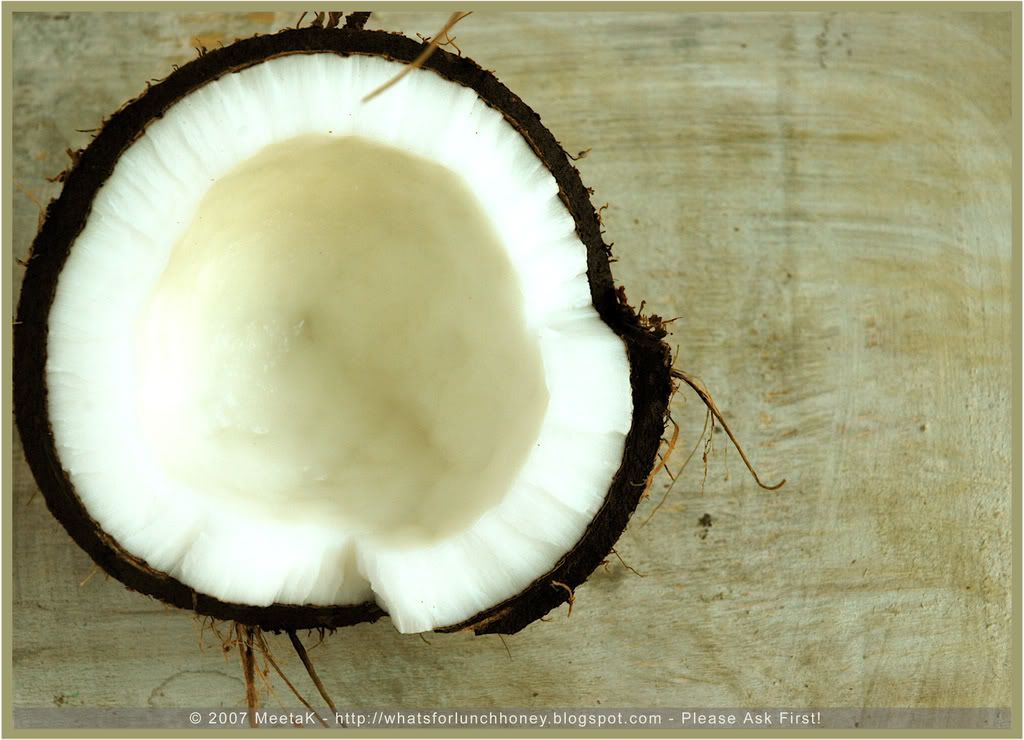 Coconut (02) by MeetaK Coconut 02) by MeetaK