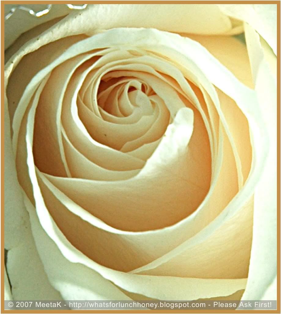 Caress (01) by MeetaK Caress (01) by MeetaK