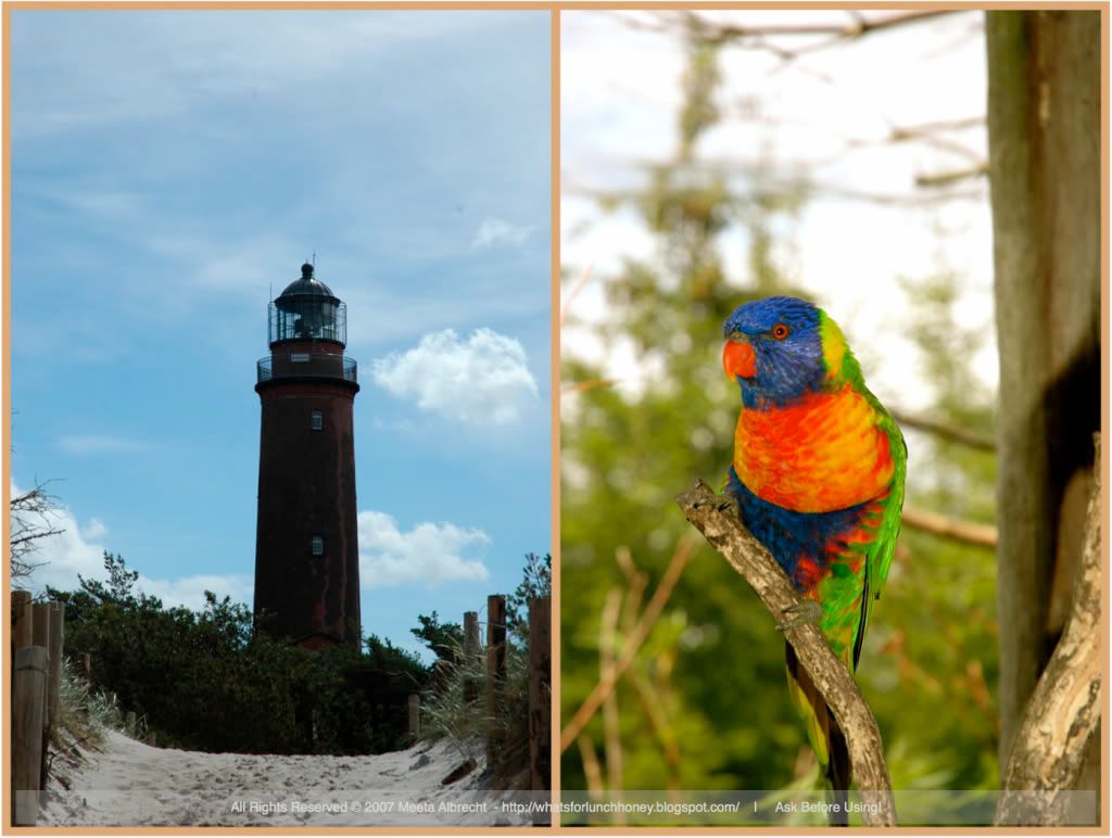 Prerow Loris and Lighthouse by Meeta Albrecht Prerow Loris and Lighthouse by Meeta Albrecht