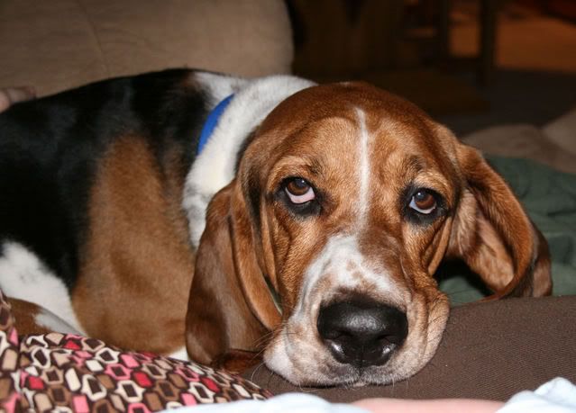 IMAGE: http://i174.photobucket.com/albums/w114/HotWheelz01/IMG_0007.jpg