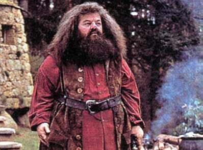 Harry Potter - Hagrid 2