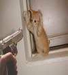 it wasn't me