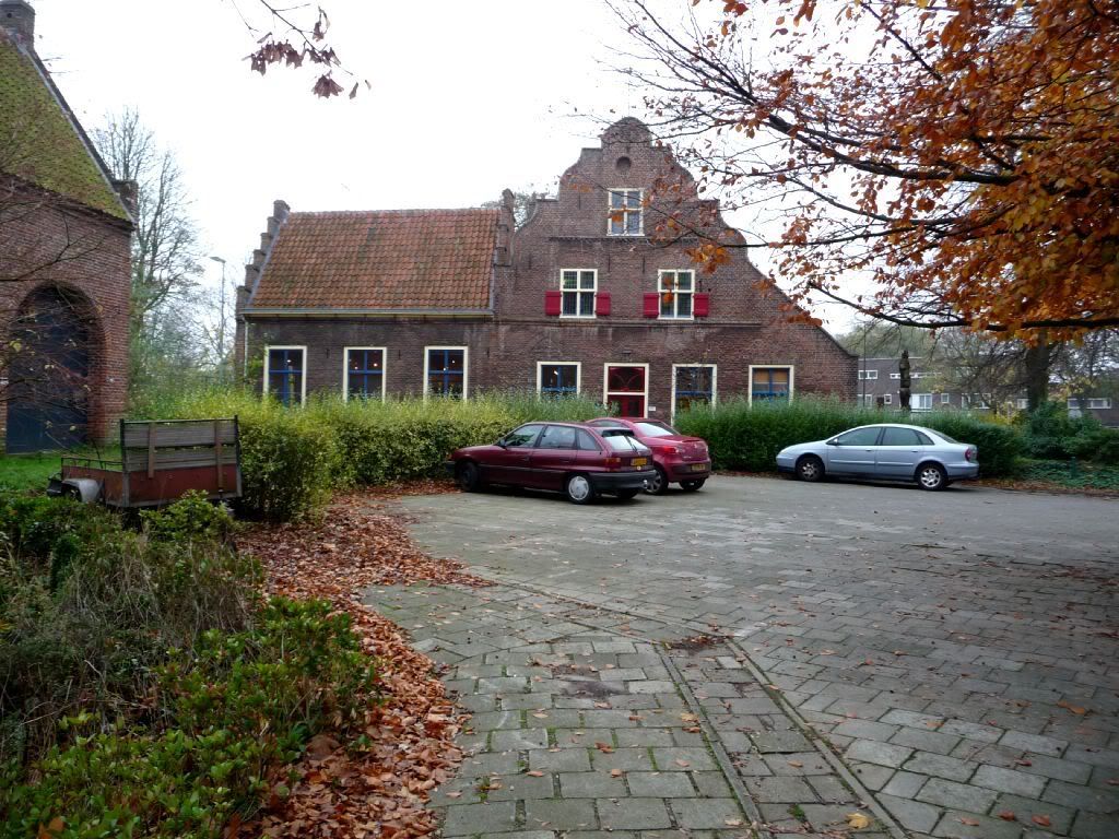 rds462.jpg