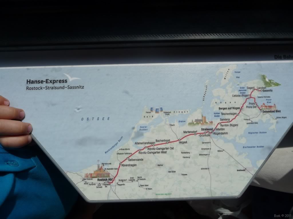 P1050897.jpg