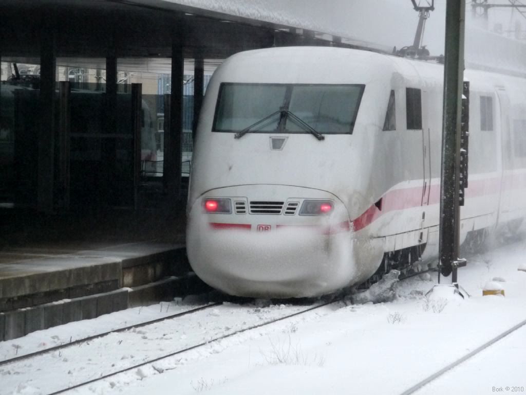 P1070443.jpg