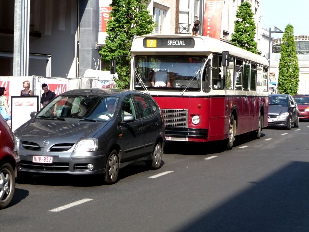 P1080596.jpg
