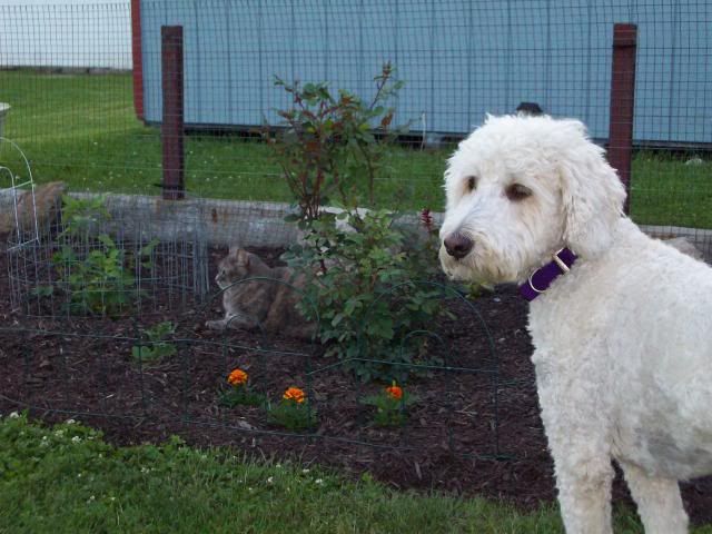  photo 100_0878_zps3d435aba.jpg