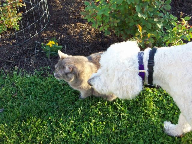  photo 100_0896_zps1e47eb98.jpg