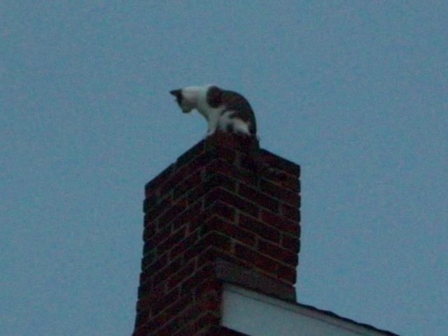  photo 100_1429_zps30c82322.jpg