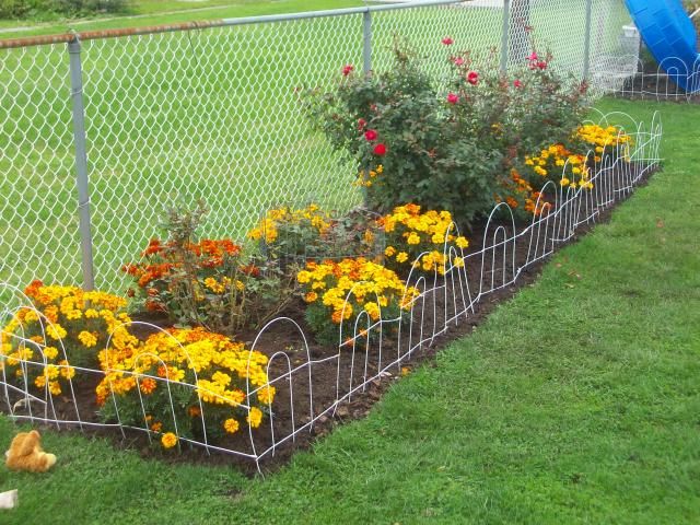  photo 100_2060_zpsb5107e3c.jpg