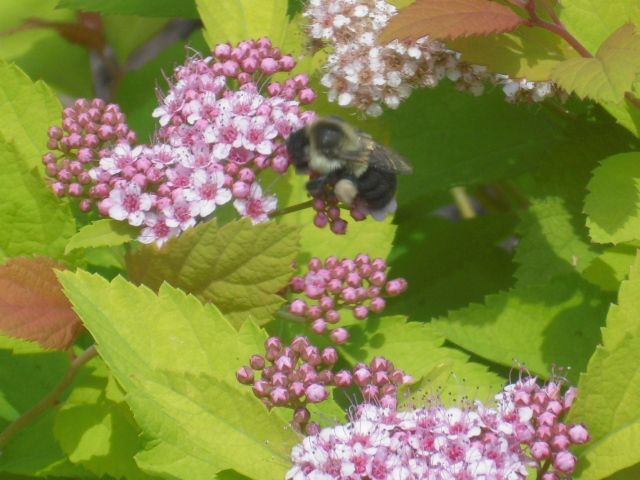  photo CIMG3926_zpseea4b02a.jpg