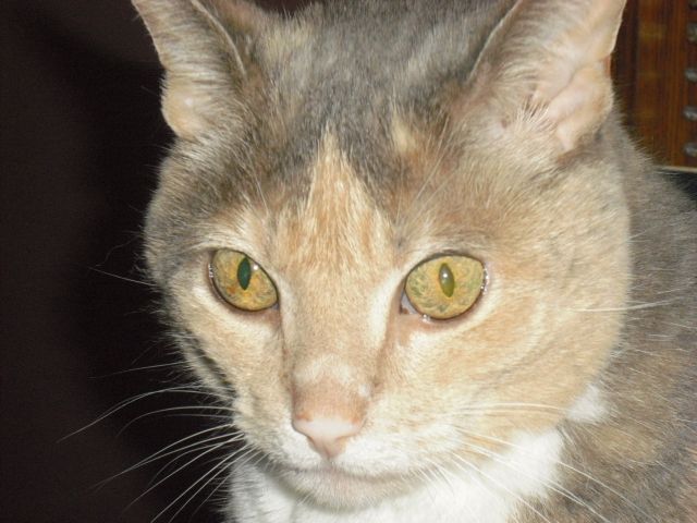  photo CIMG5012_zps84637020.jpg