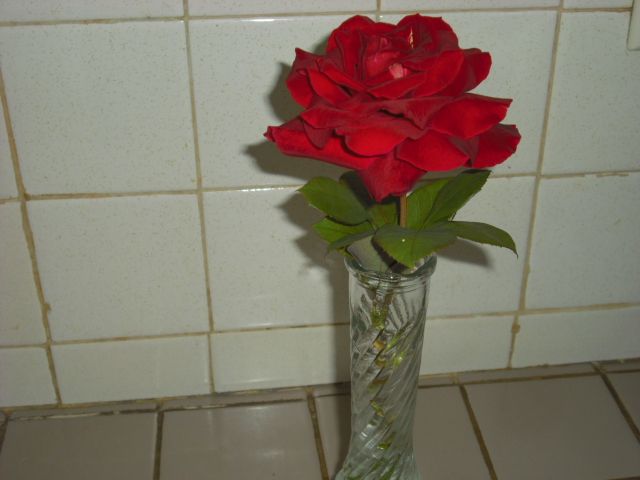  photo CIMG5274_zpsc387da4c.jpg