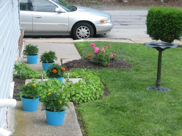  photo IMG_1095_zps0ae2fd74.jpg