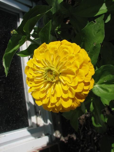  photo IMG_1130_zpsb42f7b4a.jpg