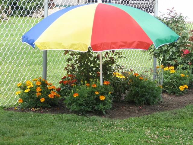 photo IMG_1375_zpsebe29c21.jpg