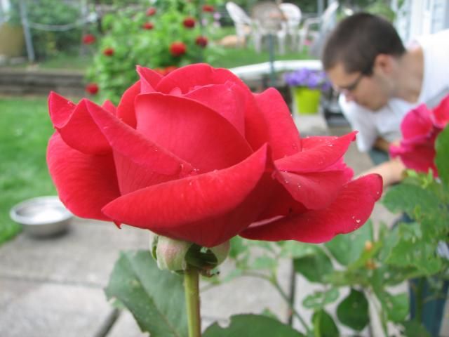  photo IMG_1389_zpse8e8e229.jpg