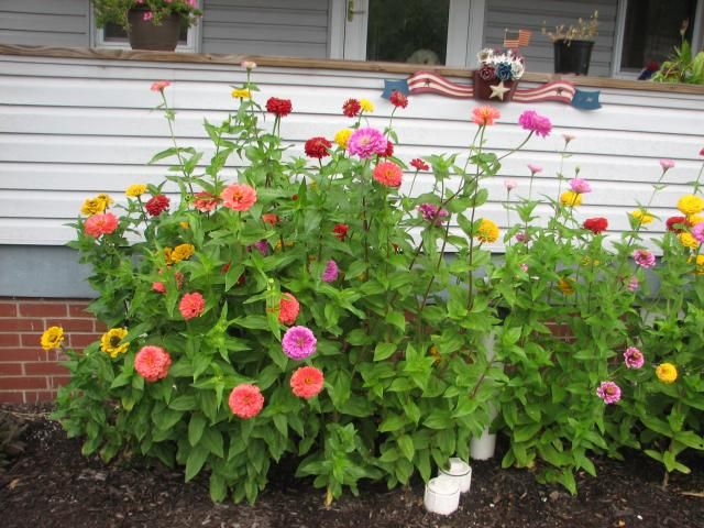  photo IMG_1394_zpse32ebcf1.jpg