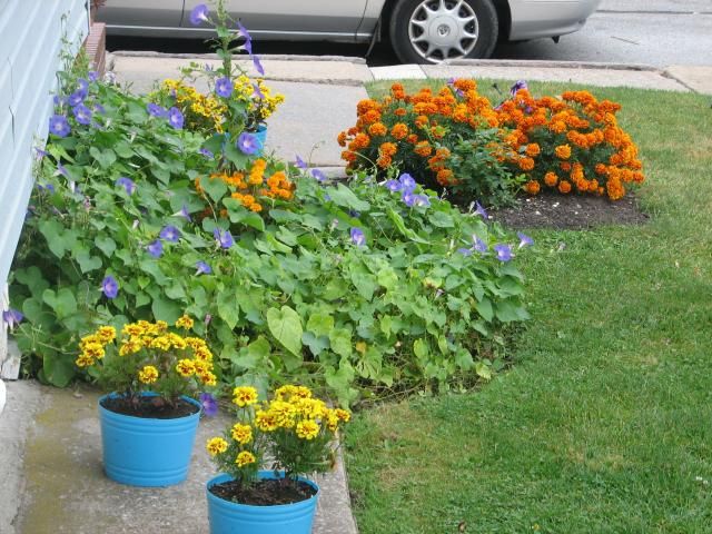  photo IMG_1561_zps8dcd5e49.jpg