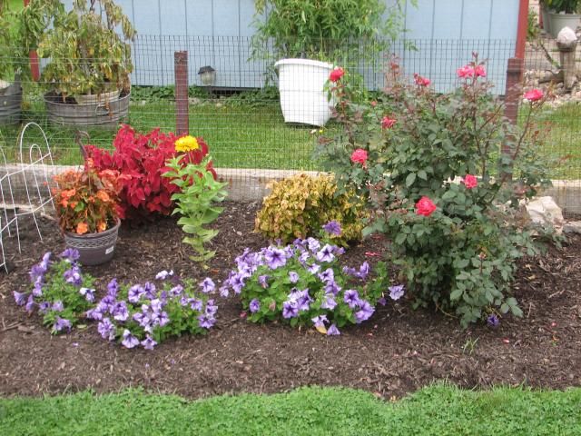  photo IMG_1562_zps2c4c0dce.jpg