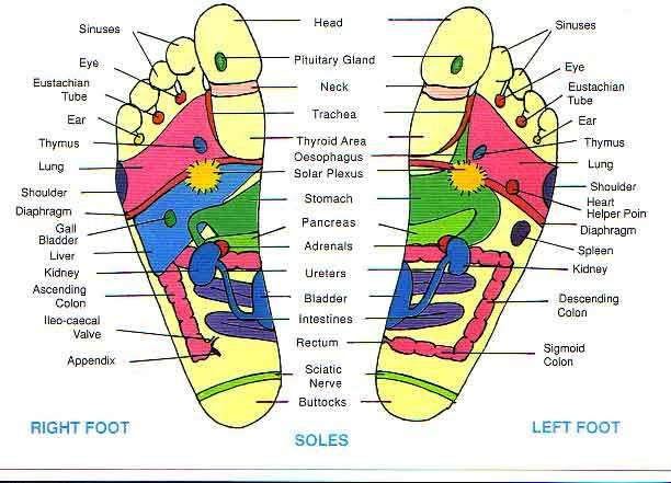 reflexology-foot-chart.jpg