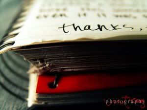 Thanks__by_V1V14N0hh