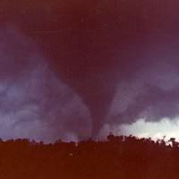 Australia Tornadoes