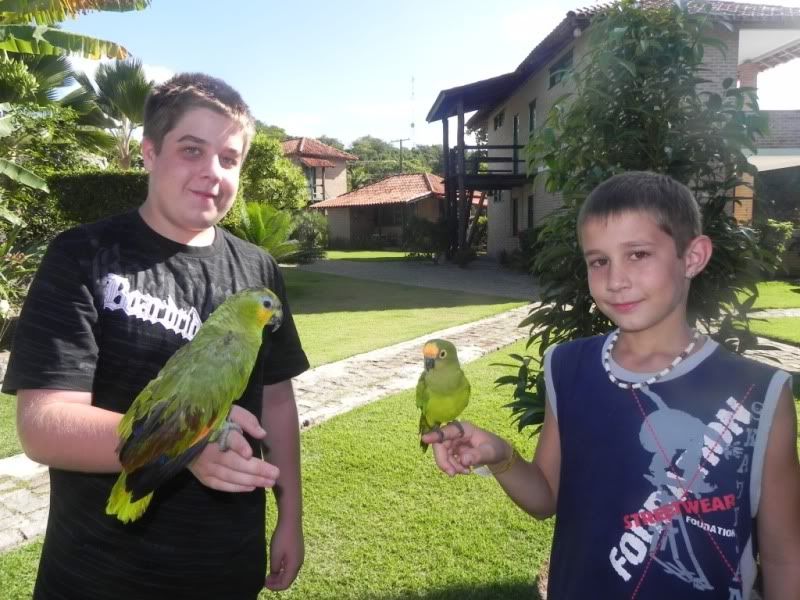 Imagem